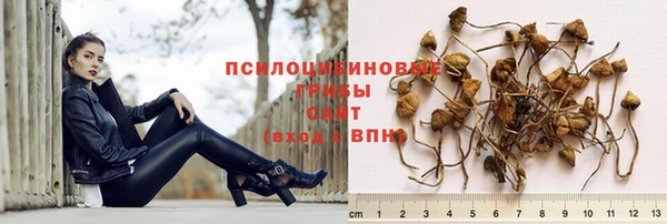дурь Алексеевка