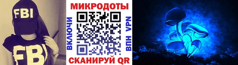 Псилоцибиновые грибы Psilocybe  даркнет сайт  Кудрово 