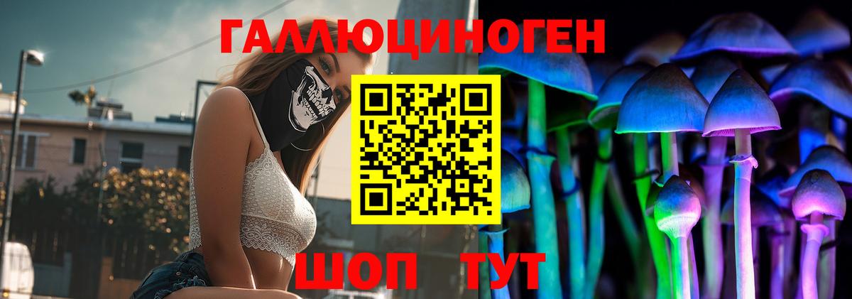 Псилоцибиновые грибы Psilocybe  как найти закладки  Кудрово  Вход с VPN 