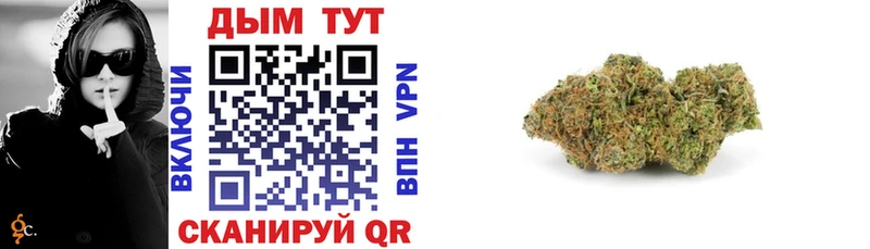 Каннабис гибрид Кудрово